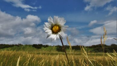 Sandilands Nature Reserve tour