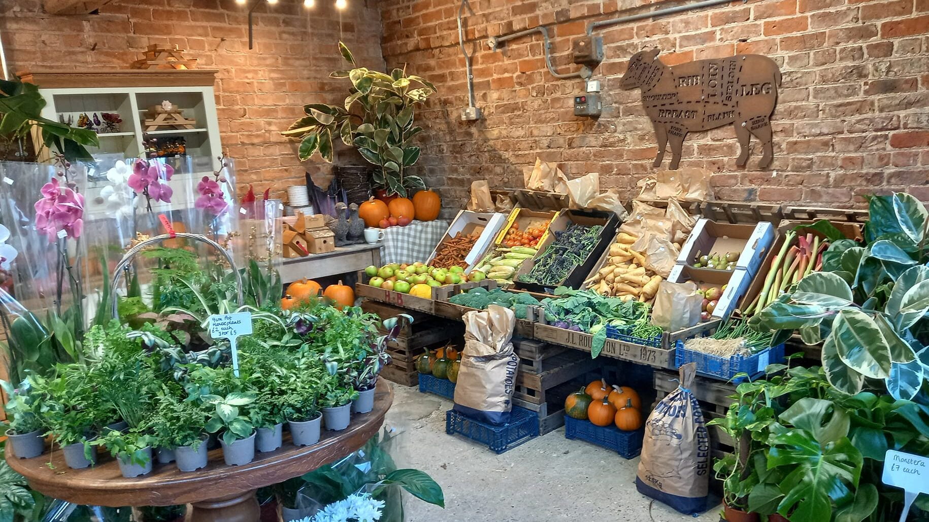 Eastfield Farm Plants Mablethorpe, Lincolnshire