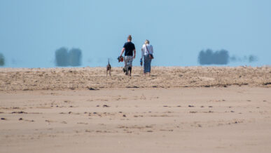 Family walking along Mablethorpe Beach