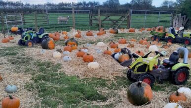 Eastfield Farm's Halloween Pumpkin Patch