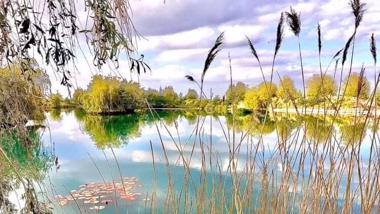 ADH Fisheries Lakes